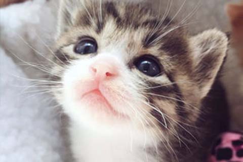 http://38-120.cn/post/189.html|试管助孕