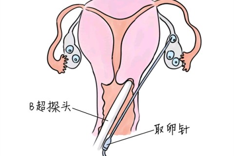 http://38-120.cn/post/211.html|新闻中心